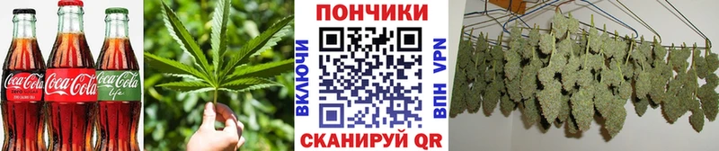 Купить  Талица  Canna-Cookies марихуана 