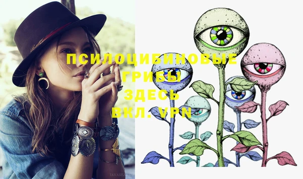 твердый Остров