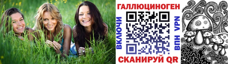 Купить где  Талица  Псилоцибиновые грибы MAGIC MUSHROOMS 